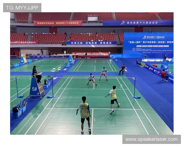 武汉羽毛球队的控制策略与发展趋势深度解析