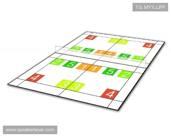 武汉羽毛球队的节奏与战术分析探讨及未来发展方向研究