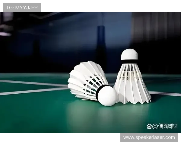 武汉羽毛球队的速度之美：探索羽毛球运动的魅力与发展
